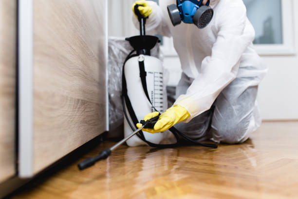 Reliable Murray, UT Pest Control Solutions
