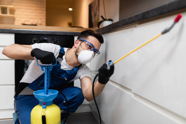 Best Emergency Pest Control  in Murray, UT