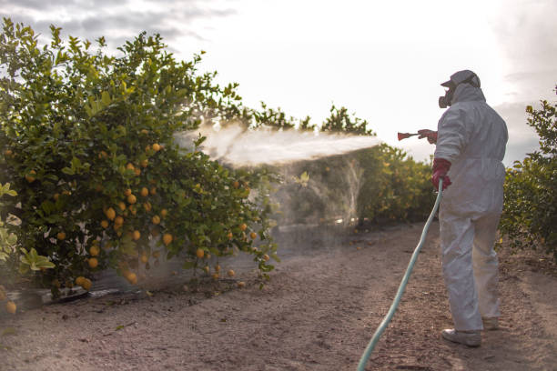 Best Affordable Pest Control Services  in Murray, UT
