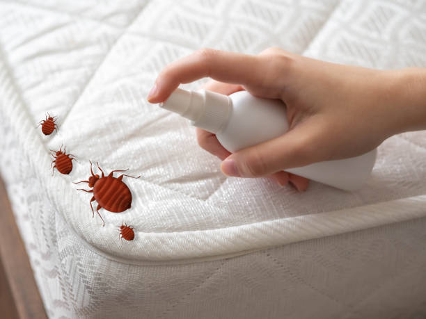 Best Wasp Removal Services  in Murray, UT