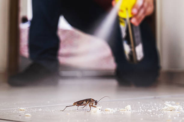Best Commercial Pest Control Services  in Murray, UT