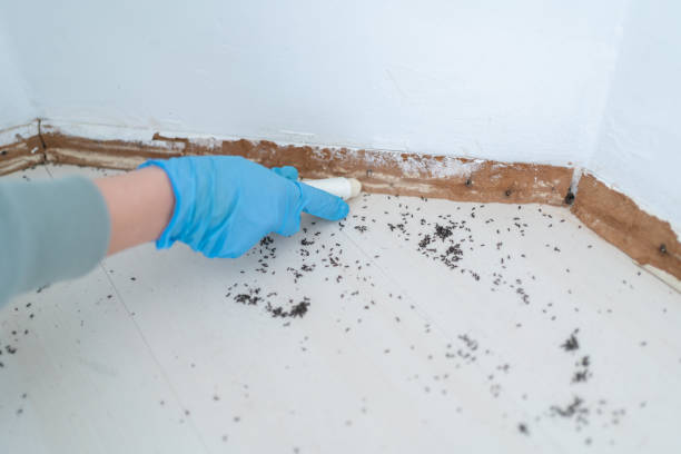 Best Best Pest Control Near Me  in Murray, UT