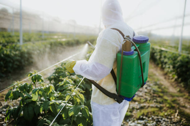 Best Flea Control Services  in Murray, UT
